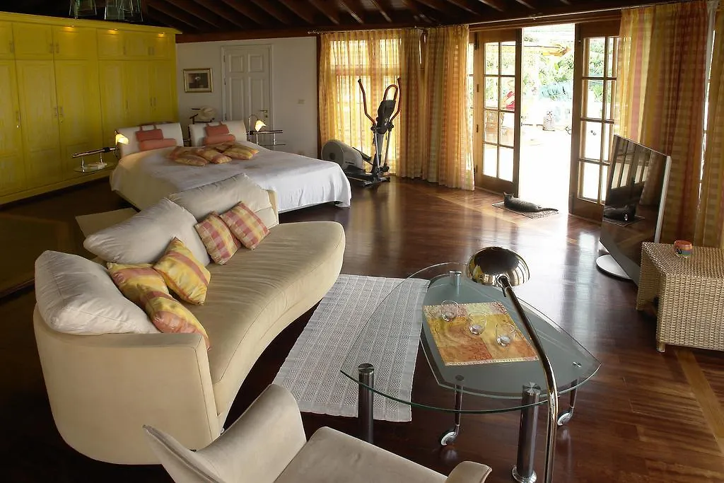 Penthause Apartment Villa Rosalva Puerto de la Cruz