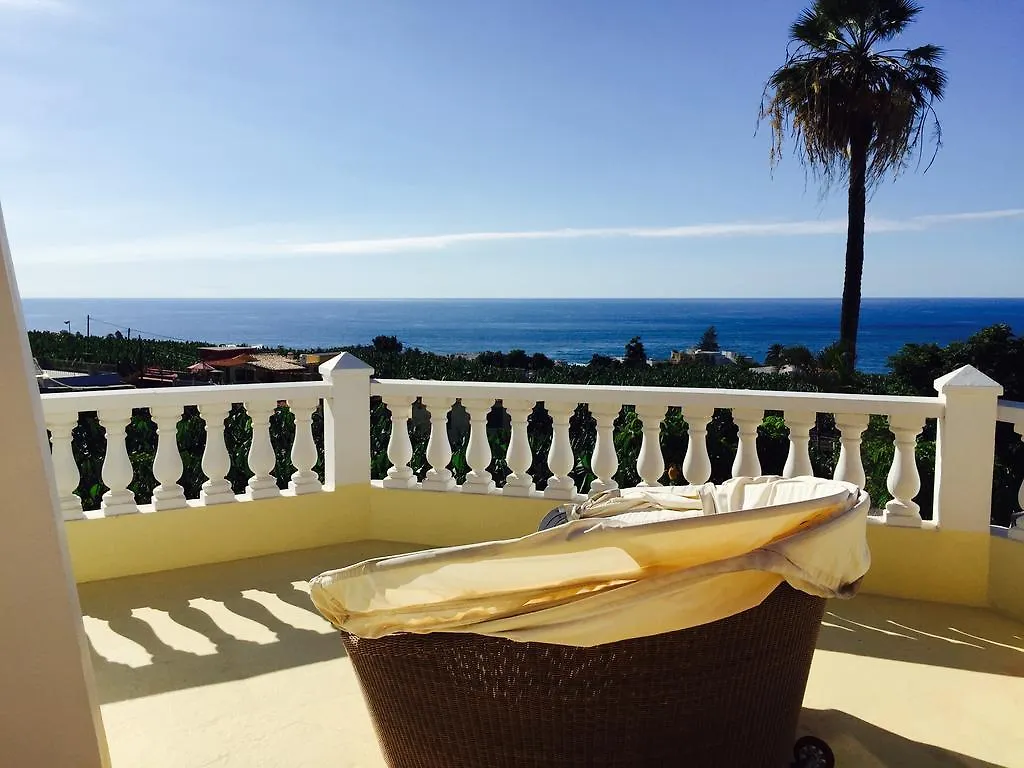 Penthause Apartment Villa Rosalva contacts